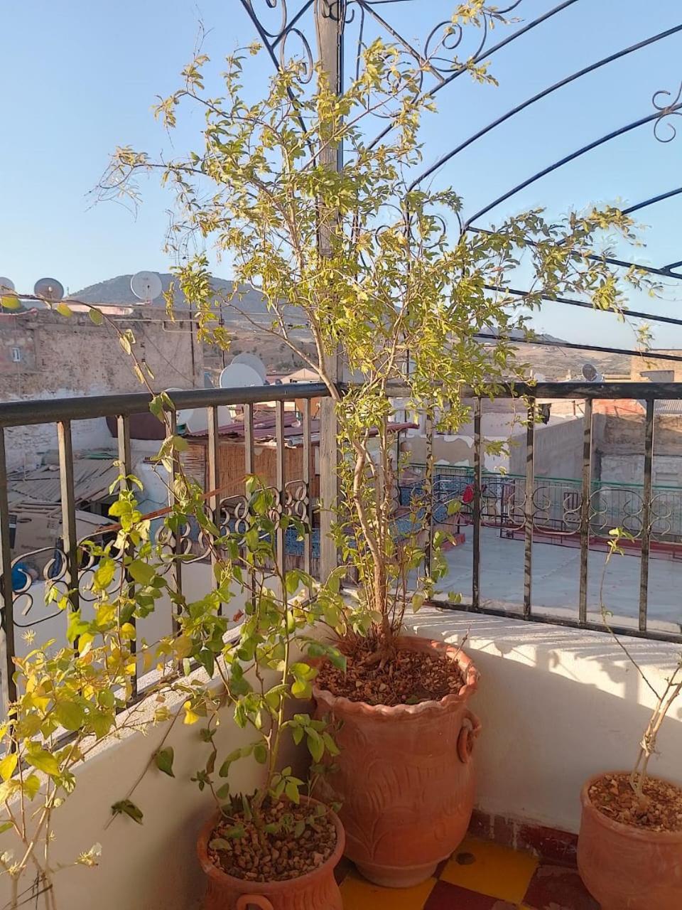 Riad Drissia Panoramic Fez Exterior photo
